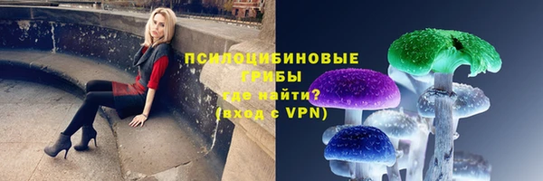 бошки Алексеевка