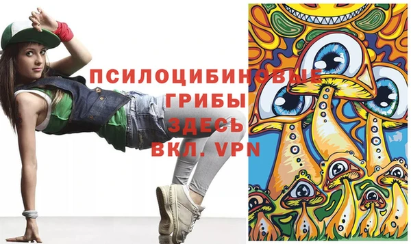 бошки Алексеевка