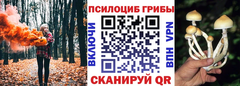 Псилоцибиновые грибы мицелий  Норильск 