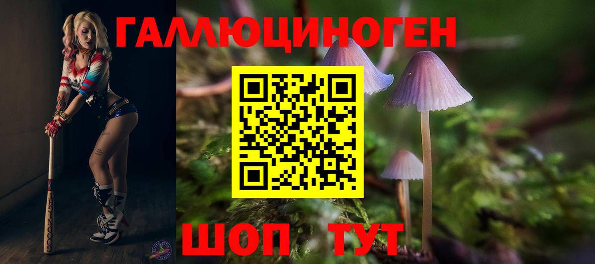 Норильск  Псилоцибиновые грибы Psilocybine cubensis  сколько стоит  Галлюциногенные грибы MAGIC MUSHROOMS  Вход с VPN 